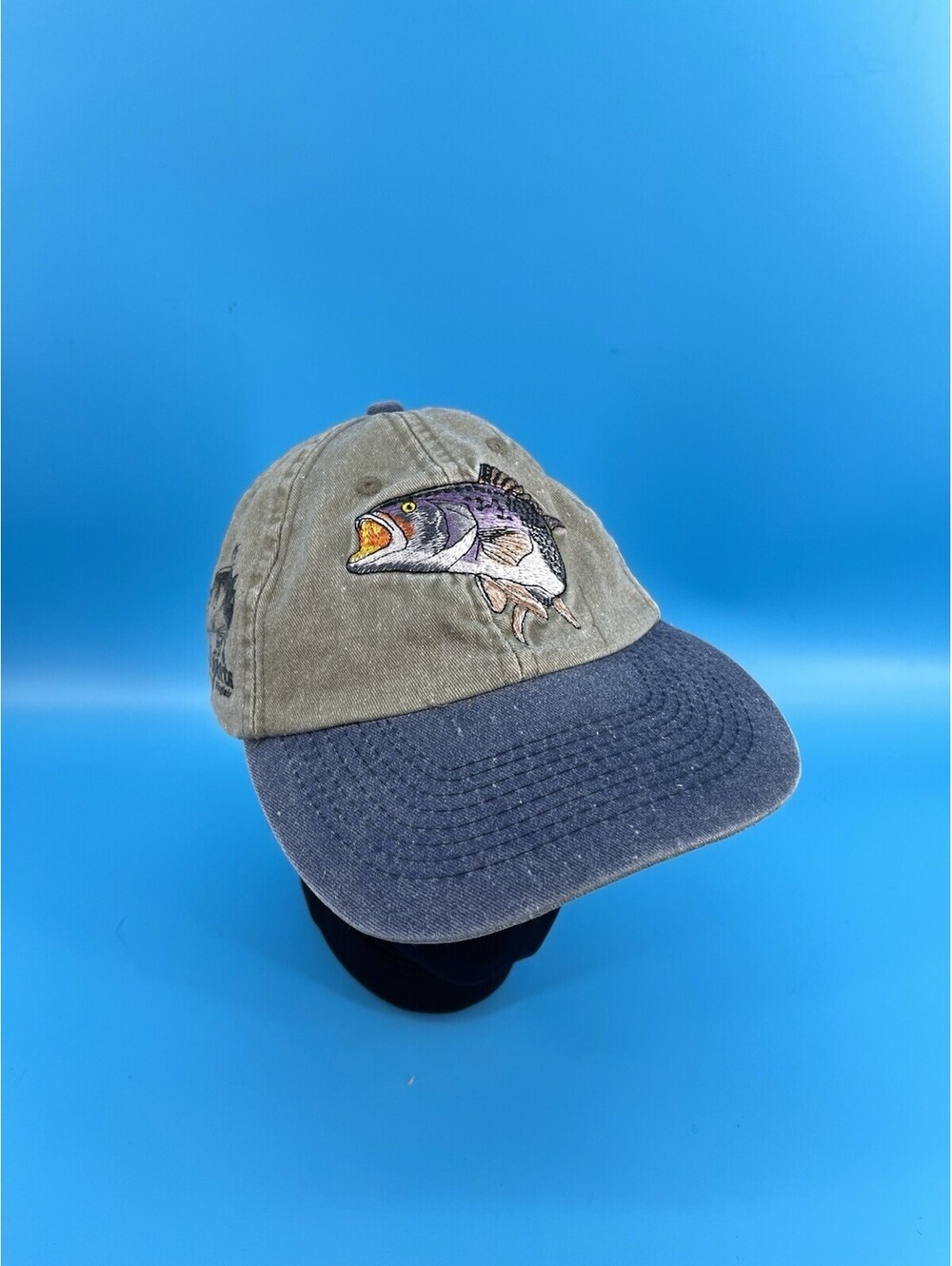 RW’s Sports Bass Fishing Fish Embroidered Adjustable Cotton Hat Cap Green Blue